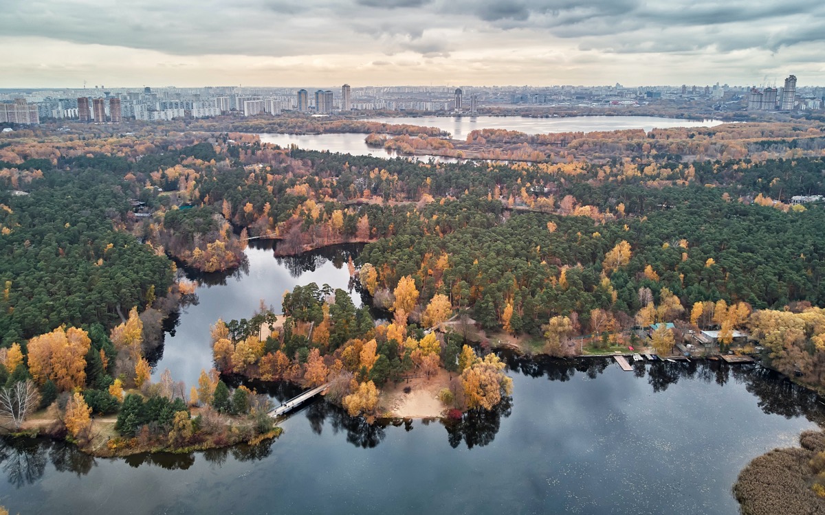 Серебряный бор Москва пляж и лес
